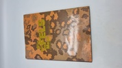 3. SS-Panzerdivision "TOTENKOPF" IM BILD