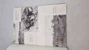 3. SS-Panzerdivision "TOTENKOPF" IM BILD