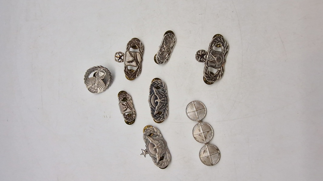 Samling originale amerikanske badges og vinger 