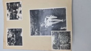 Sjældent privat foto album fra CBU mand med foto af mord, sabotage mm 