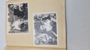 Sjældent privat foto album fra CBU mand med foto af mord, sabotage mm 