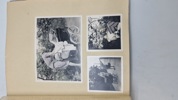 Sjældent privat foto album fra CBU mand med foto af mord, sabotage mm 