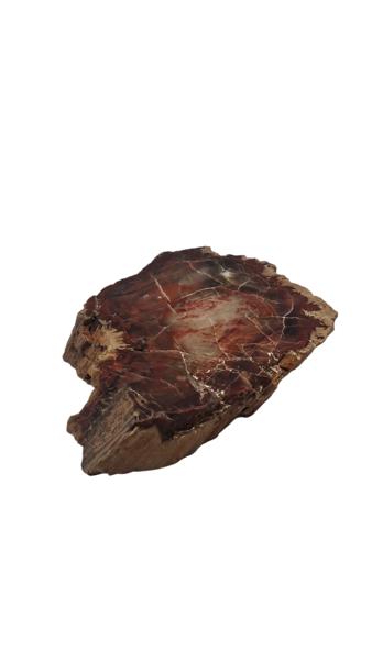 Forstenet træ 278 g