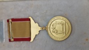 Original amerikansk livredder medalje som tildeles personel i den amerikanske kystvagt 