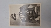 Originalt Foto af luftwaffe pilot 