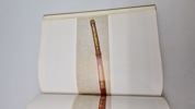 The Japanese sword /Kanzan Sato