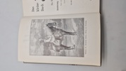 "Das kleine Buch vom Deutschen Heere".
