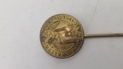 Sjælden original nål fra D.N.S.A.P møde i KB hallen 1941