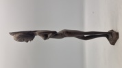 Afrikansk figur ibenholt 