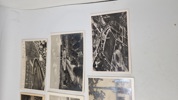 Samling originale olympiade postkort, 1936
