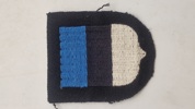 Originalt Estonia/Eesti - Sleeve Shield for Volunteers in the 20th Waffen SS Grenadier Division (Estonian No. 1)