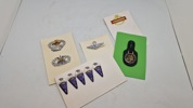 Samling originale Airborne patches, badges mm.
