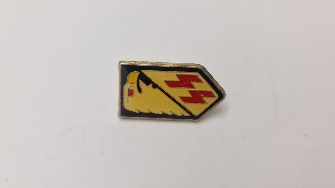 SS veteran pin 