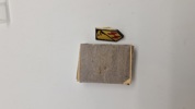 SS veteran pin 