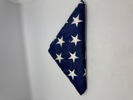 Originalt amerikansk flag sendt til familie af falden soldat 