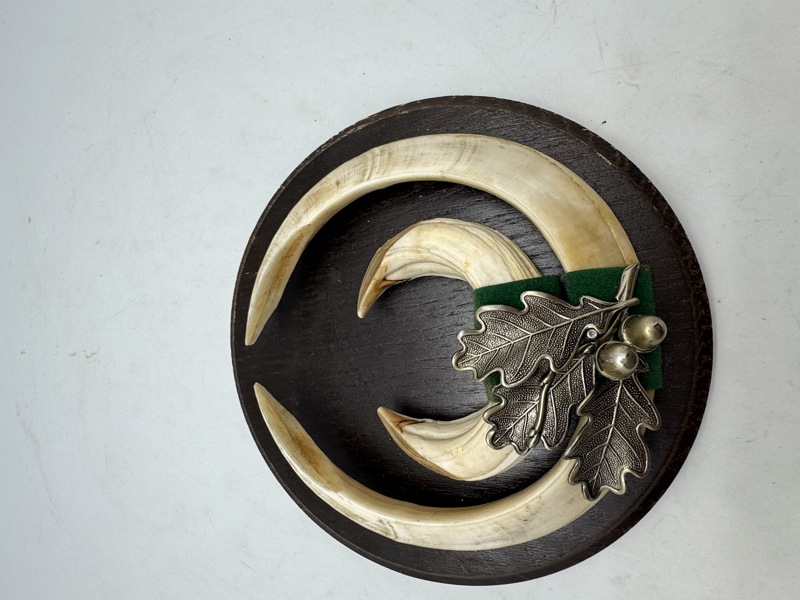 Jagtopsats (Vildsvin)