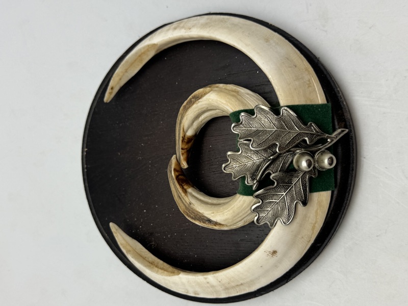 Jagtopsats (Vildsvin)