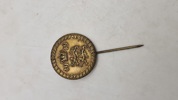 National pin 1919