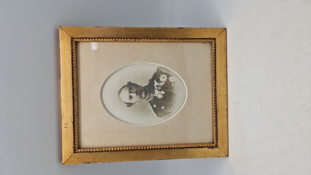 portræt af Christian 9., som var konge af Danmark fra 1863 til 1906