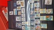Stor samling frimærker mm i kuffert 