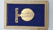 Original great Japan sericulture special members badge 