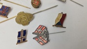 Samling nationale pins