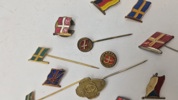 Samling nationale pins