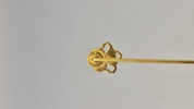 Pin, danske livregiment 