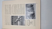 Orignal bog fra de olympiske lege i 1936