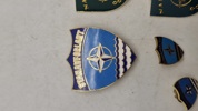Samling Nato skjold 