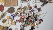 Stort lot pins og medaljer 