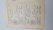 Originalt sportsabzeichen urkunde & stofmærke 