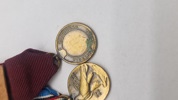Original miniature medalje spange 