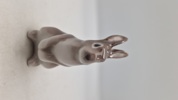 Bing & Grøndahl Stående Kanin (Figur Nr. 2423)