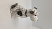 Porcelæns hund (Ozon lampe) 