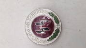 Waffen SS badge. Efterkrigs 