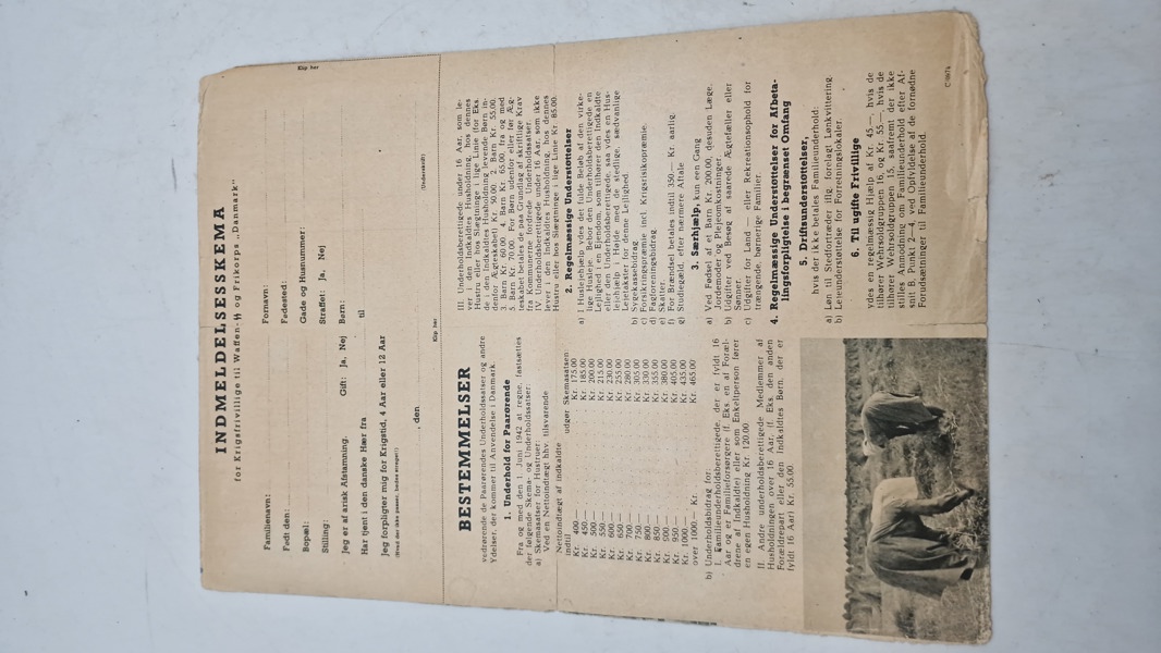 Waffen SS indmeldelsesskema, originalt 