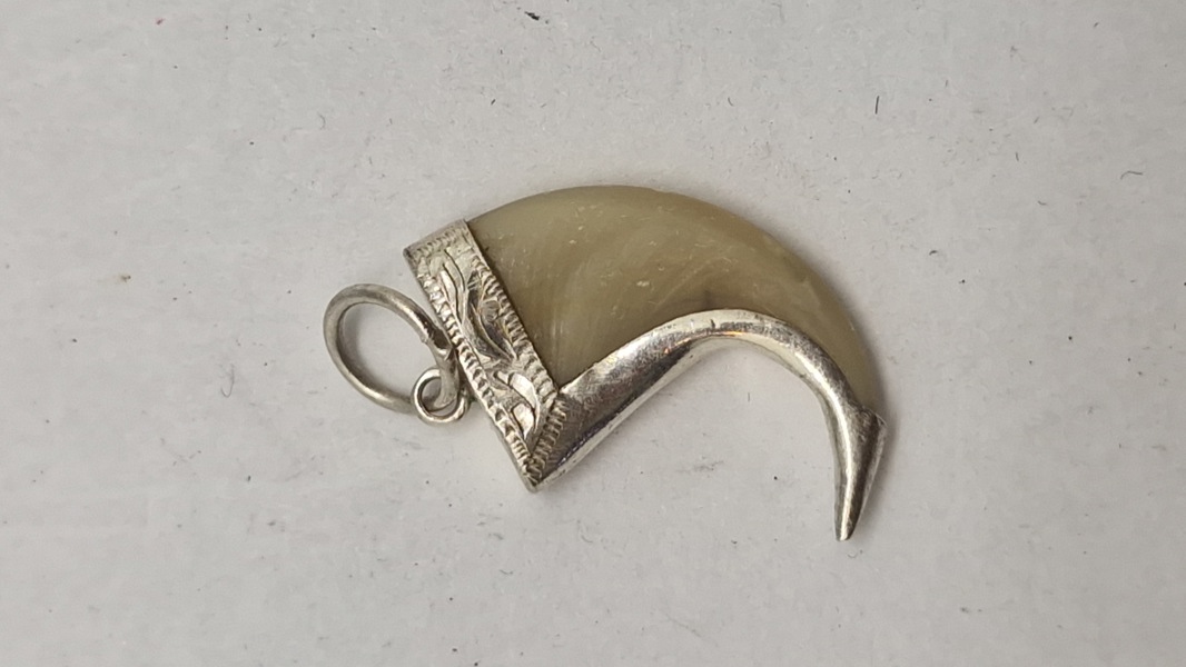 Sølvbeslået klo lavet som halssmykke 