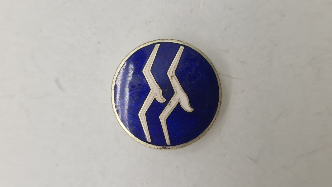 Segelflieger pin, ww2. Original