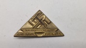 Arbeitsschlacht Gau Bayerische Ostmark" tinnie. Original 