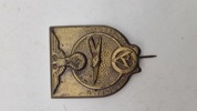 “NS-Flugtag Bamberg 1933" emblem. Original 