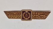 Tysk DDR) klassificeringsbadge for den nationale folkearmé (NVA). Original 