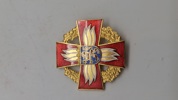 Deutsches Feuerwehr-Ehrenkreuz. Original 