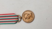 Italiensk Medaglia della Guerra 1915–1918. Miniature. Original 