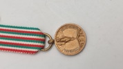 Italiensk Medaglia della Guerra 1915–1918. Miniature. Original 