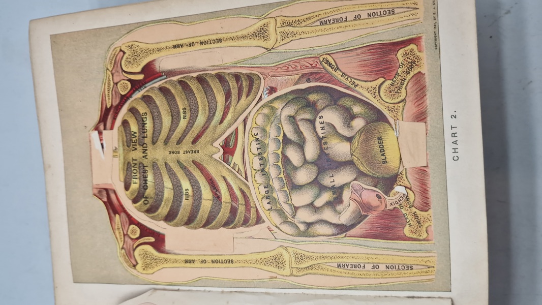 Medicology: Home Encyclopedia of Health", som er en omfattende familieguide til sundhed og medicin fra begyndelsen af 1900-tallet