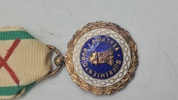 Spansk medalje kendt som Medalla de Sufrimientos por la Patria (Medalje for lidelser for fædrelandet), der blev indstiftet i 1814 for at belønne soldater for skader modtaget i kamp. Original 