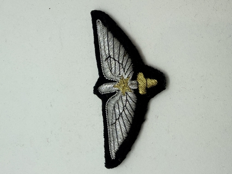 Pakistand pilot Vinge