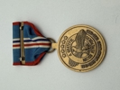 US Homefront medalje, original 