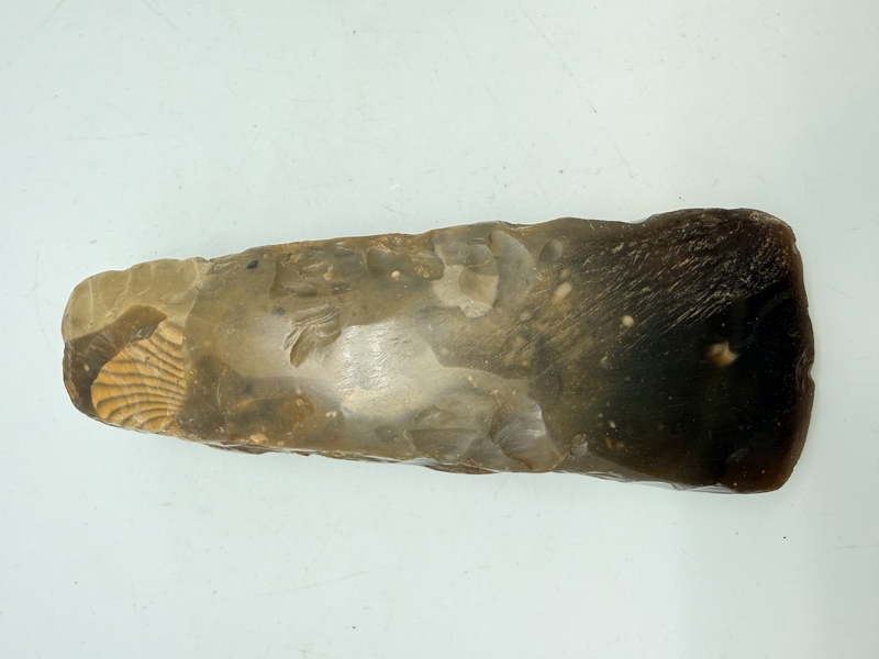 Stenøkse Danmarks oldtid, original 